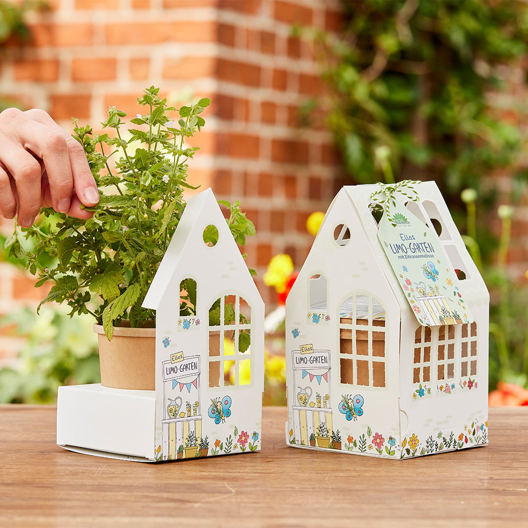 Greenhouse Ella's Lemon Garden, Lemon Balm