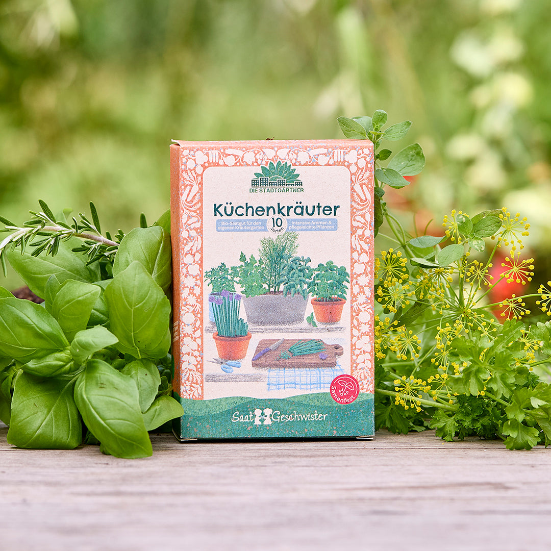 Seed set kitchen herbs (organic)