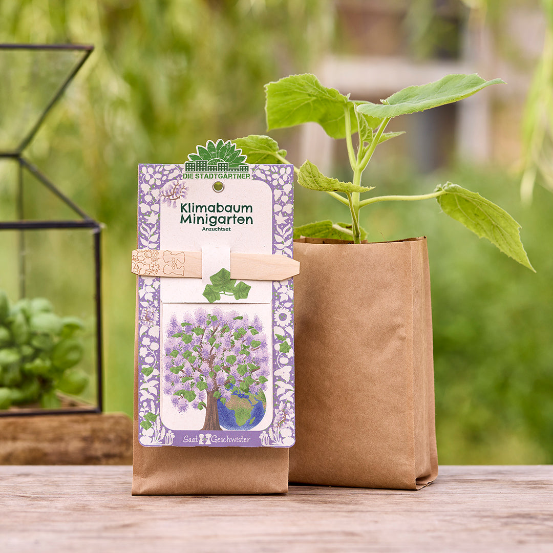 Mini garden - climate tree