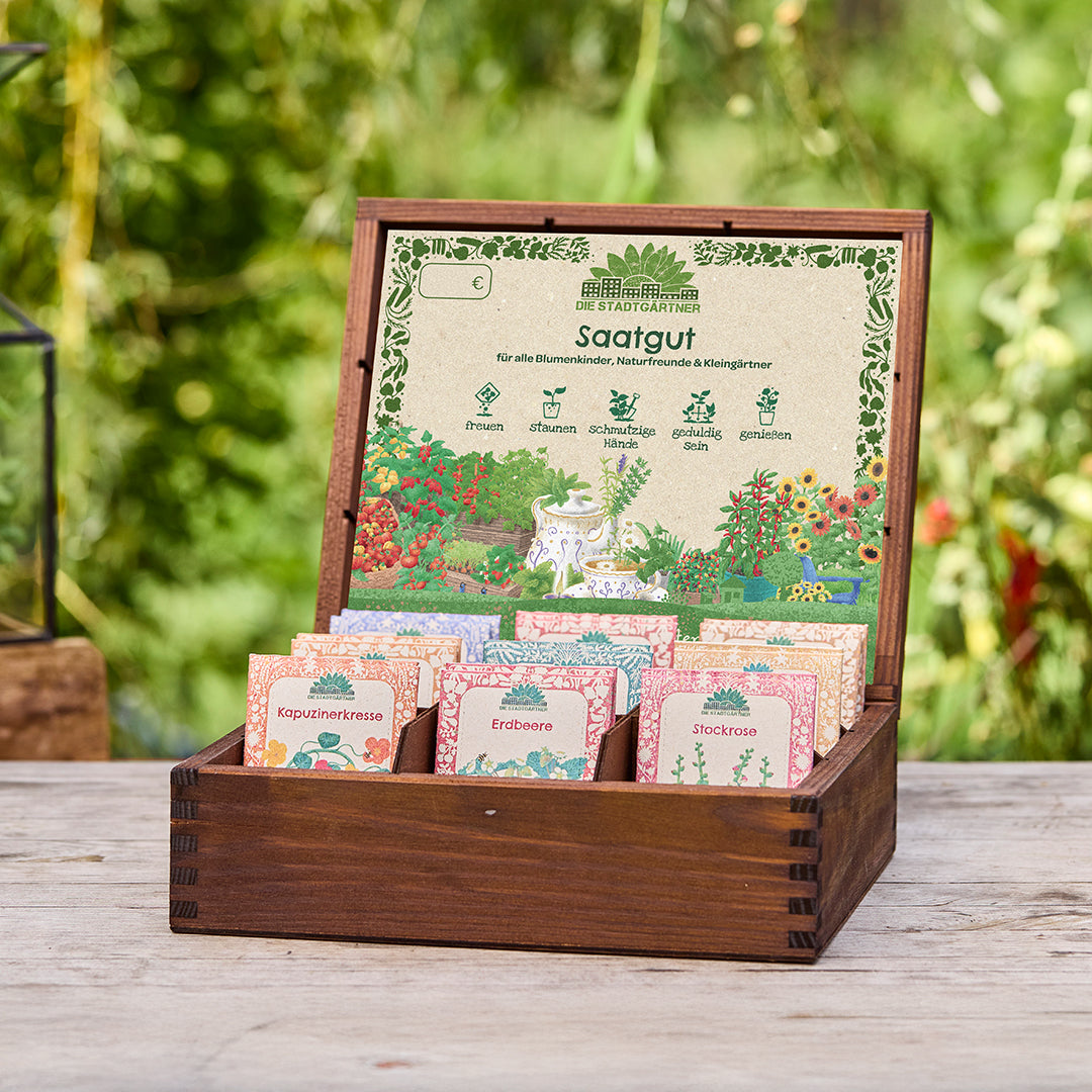 Tea box with 6 best-selling seeds (54 pcs.)