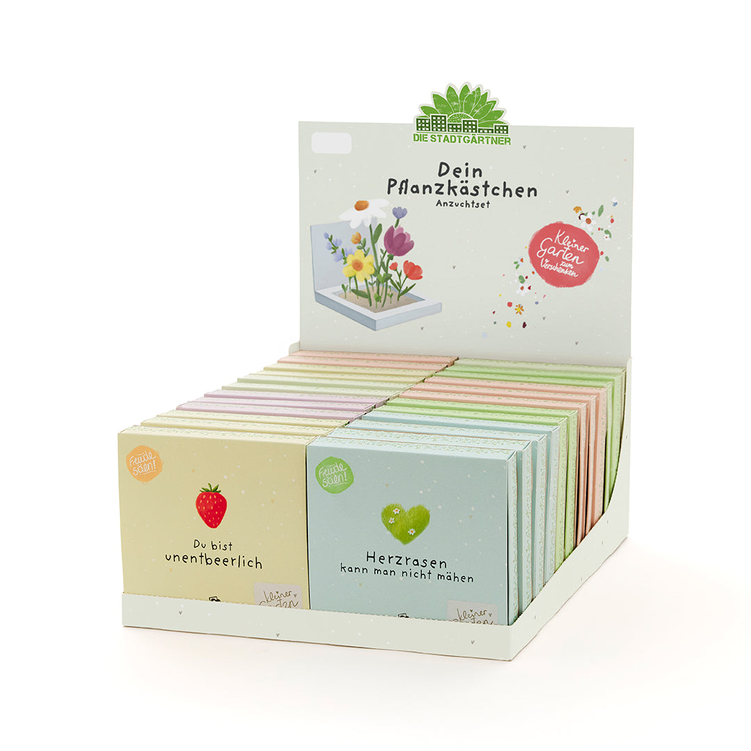 Tray planters, filled - 24 pieces